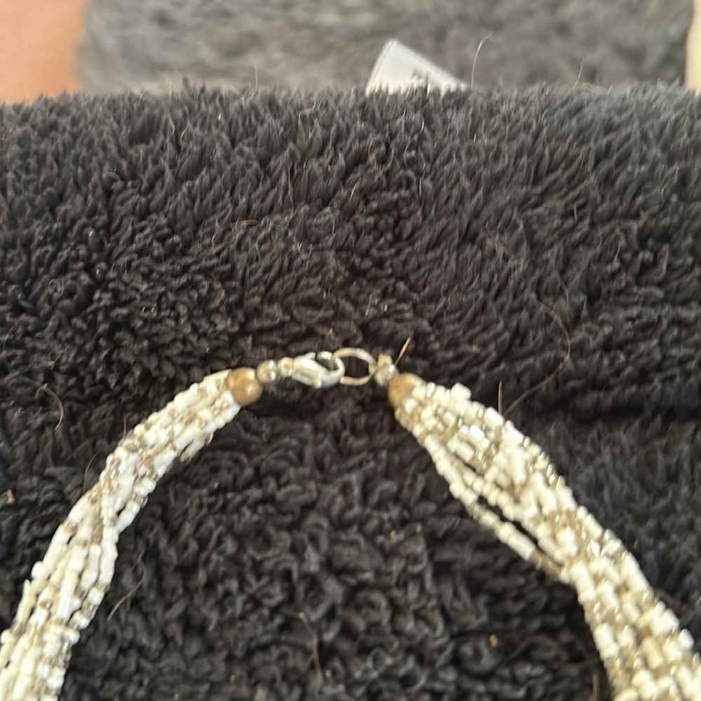 Long, Beautiful Statement Necklace - image 3